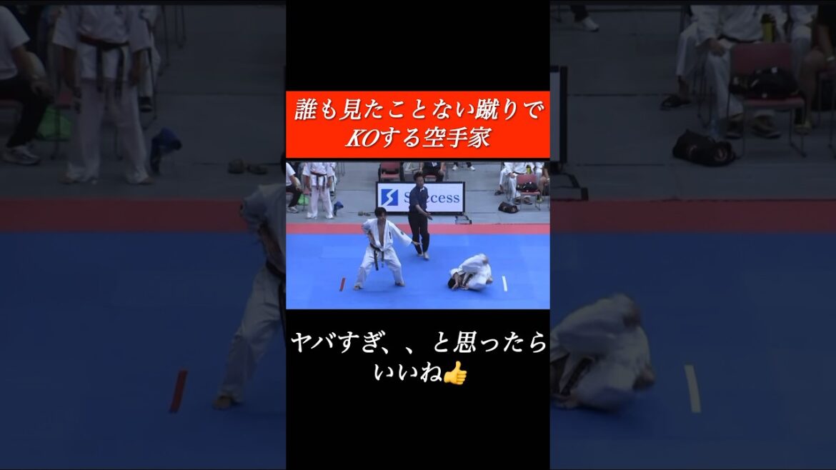 【衝撃KO】誰も見たことない蹴りでKOする空手家