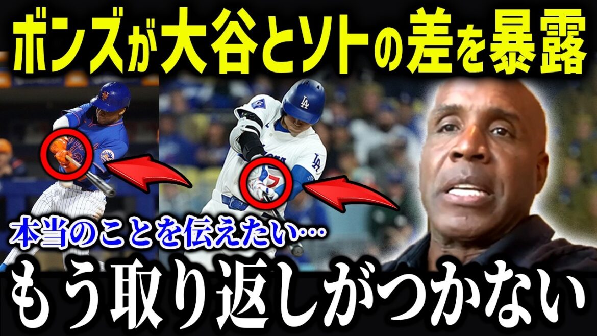 不調のソトにボンズが衝撃本音「正直に話すと…」レジェンドが語った大谷との差に米メディアも驚愕【海外の反応/MLB/メジャー/野球】 不調のソトにボンズが衝撃本音「正直に話すと…」レジェンドが語った大谷との差に米メディアも驚愕【海外の反応/MLB/メジャー/野球】