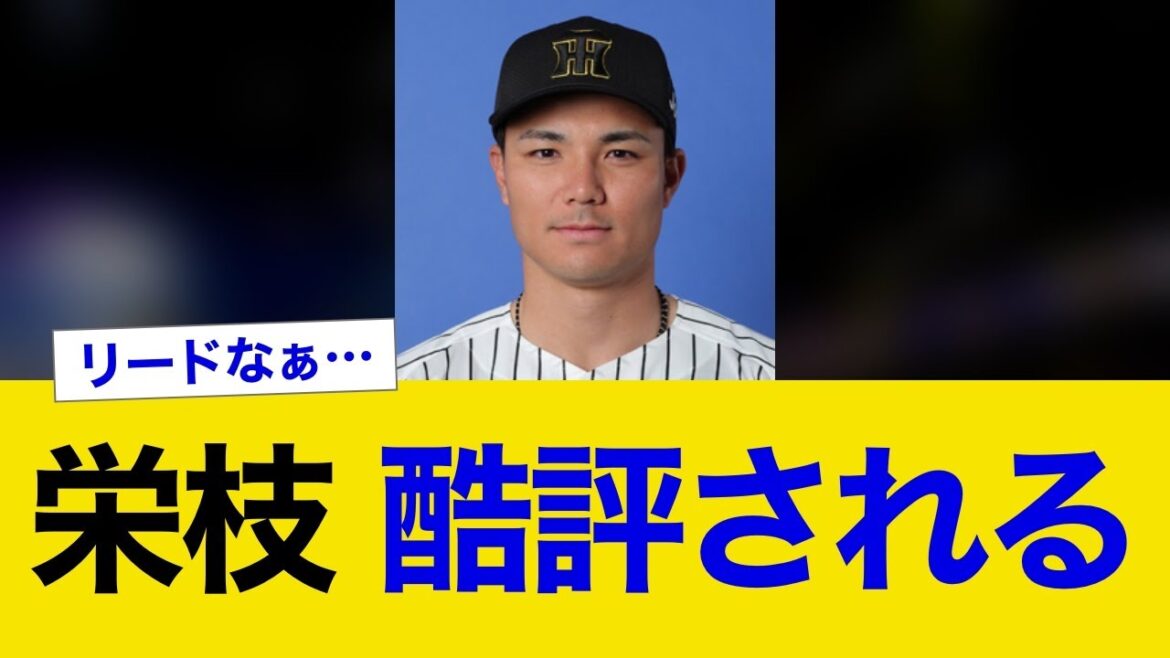 【悲報】栄枝、酷評される。。。【阪神タイガース】 【悲報】栄枝、酷評される。。。【阪神タイガース】