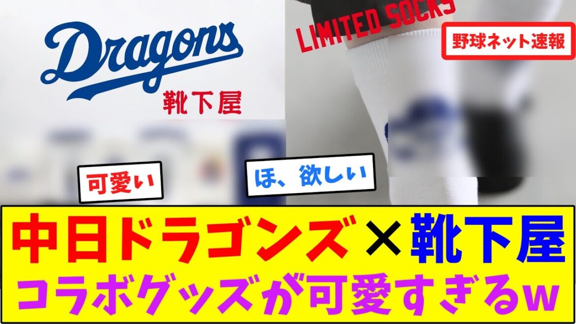 中日ドラゴンズ×靴下屋コラボグッズが可愛すぎるw【ネット反応集】 中日ドラゴンズ×靴下屋コラボグッズが可愛すぎるw【ネット反応集】