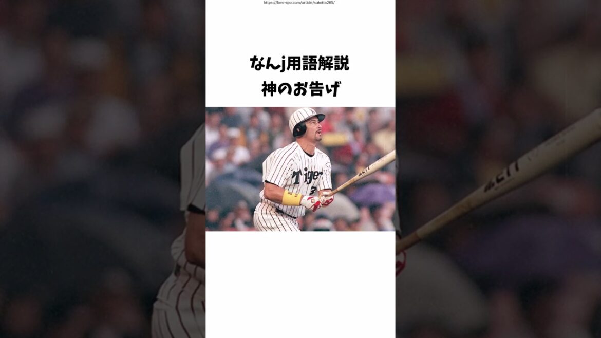 なんj用語解説　神のお告げ　　  #プロ野球 #なんj民 #野球