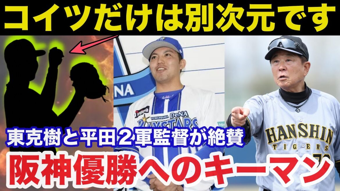 「コイツだけは別次元」DeNA東克樹と阪神.平田二軍監督が手放しで絶賛する逸材の復活で阪神が絶対に優勝を狙えるワケ【阪神タイガース】
