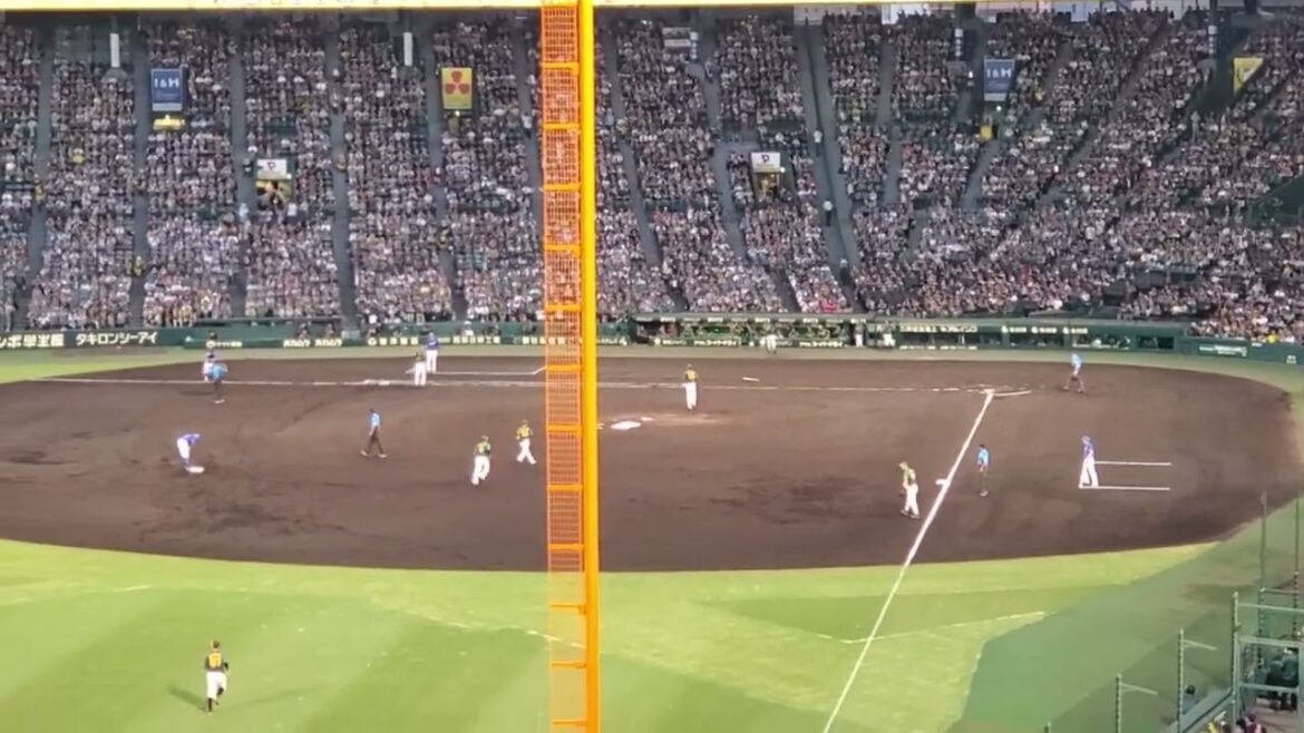 20240728　己の力を信じる【木下拓哉 応援歌】　2回表　中日ﾄﾞﾗｺﾞﾝｽﾞ　ｷﾉﾀｸ@阪神甲子園球場･ﾚﾌﾄ外野 ｳﾙ虎の夏2024