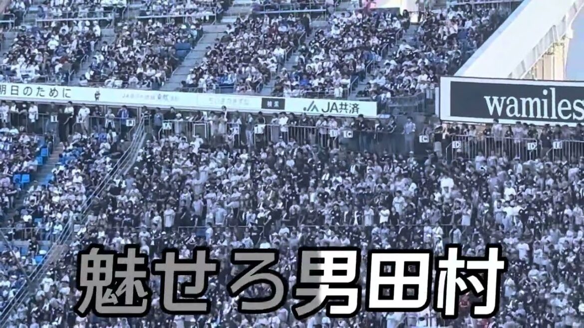 【千葉ロッテマリーンズ】田村龍弘 選手応援歌