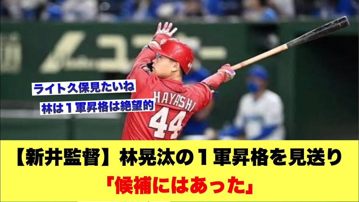 【新井監督】林晃汰の1軍昇格を見送り「候補にはあった」【広島カープスレ】 【新井監督】林晃汰の1軍昇格を見送り「候補にはあった」【広島カープスレ】