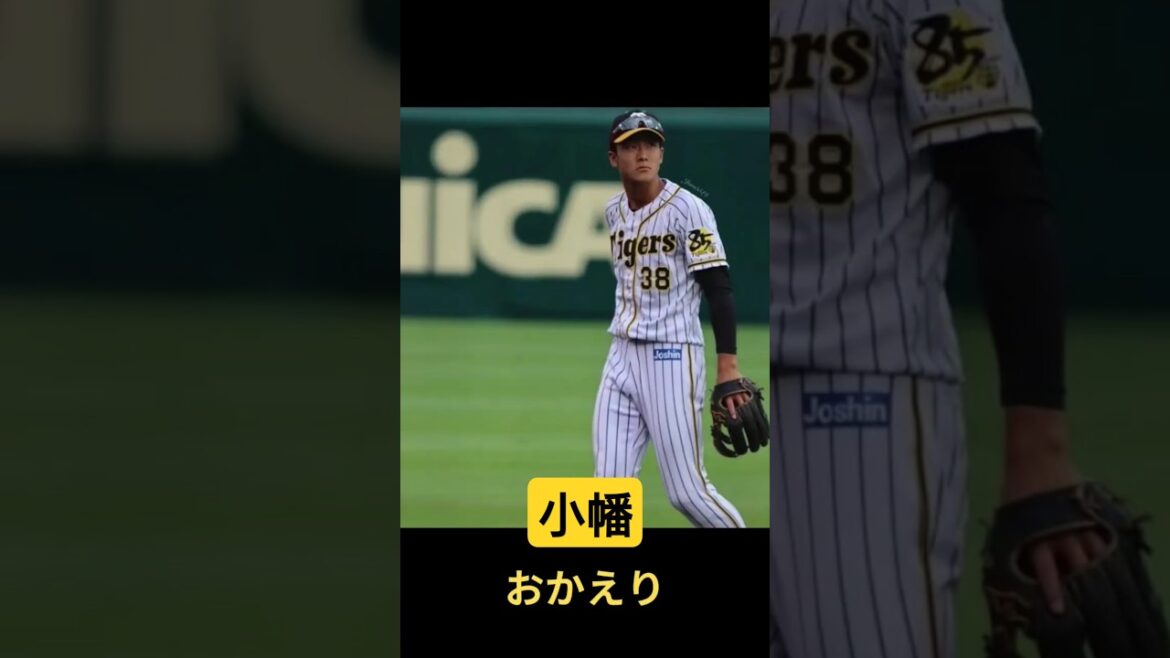 小幡選手 復帰後即好プレー連発！ #プロ野球 #阪神タイガース #小幡竜平 #ファインプレー #彼氏