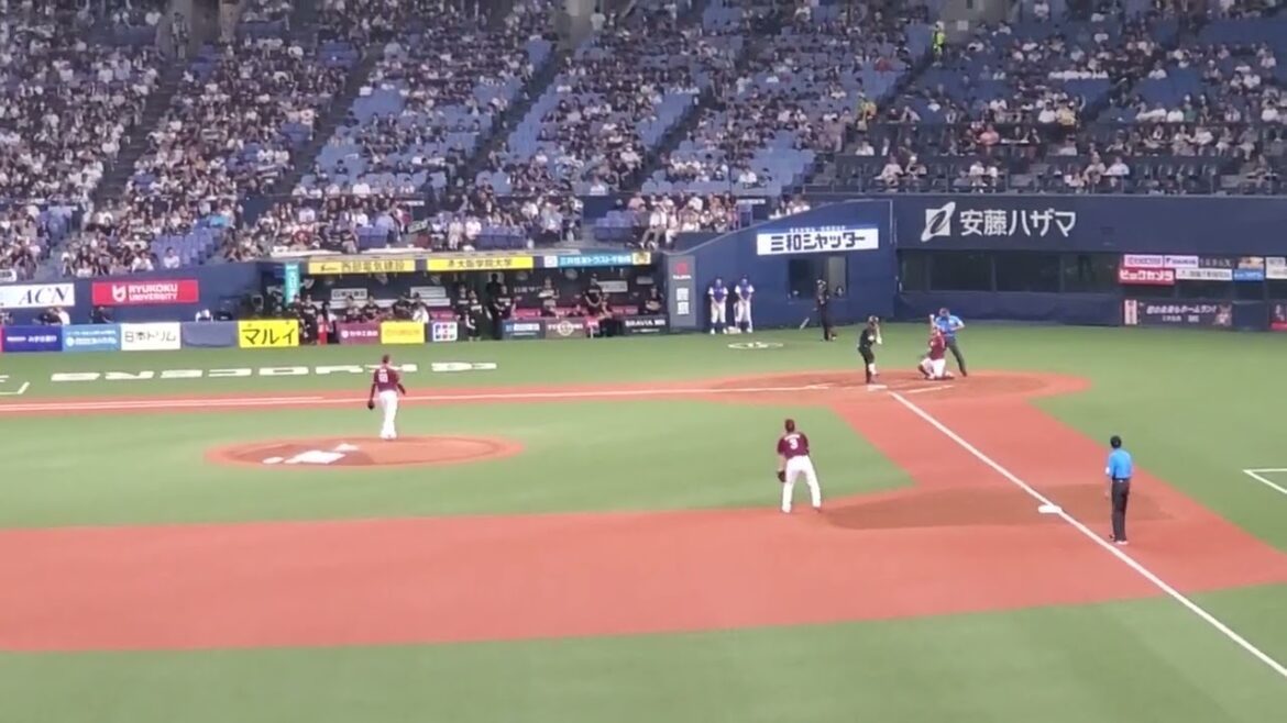 20240814　頑なに貫き通せ♪【西野真弘 応援歌】　3回ｳﾗ　ｵﾘｯｸｽ･ﾊﾞﾌｧﾛｰｽﾞ@京ｾﾗﾄﾞｰﾑ大阪･ﾚﾌﾄ外野下段 Bs夏の陣2024