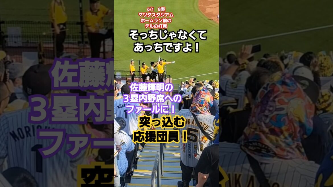 内野席へのファールに『そっちじゃなくて、あっちですよ』と叫ぶ応援団員 #阪神タイガース応援 #阪神タイガース #応援団員#佐藤輝明 #マツダスタジアム