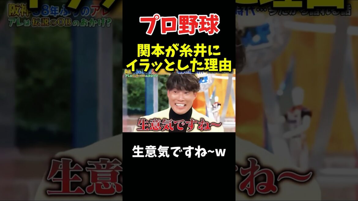 関本が糸井にイラッとした理由w #野球 #プロ野球 #npb #面白い #面白い動画 #おもしろ #ダウンタウン #浜田雅功 #阪神タイガース