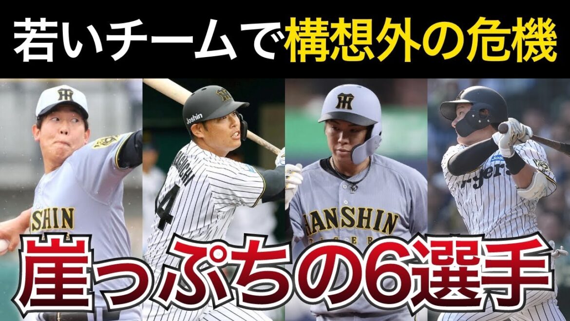 【このままでは構想外の危機...】高年俸ながら厳しい立場に立たされている崖っぷちの6選手とは【阪神タイガース】