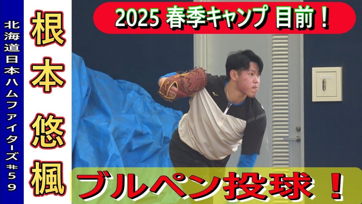 【2025 春季キャンプ目前】根本悠楓・ブルペン投球！・・・in 名護【北海道日ハムファイターズ】
