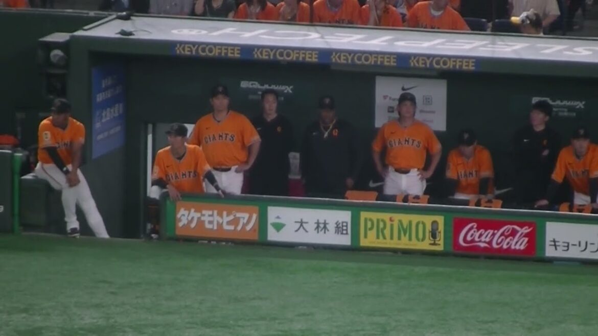 ベンチの小林誠司やウィーラーの様子＜読売ジャイアンツ対 日本ハムファイターズ2025年6月17日＞