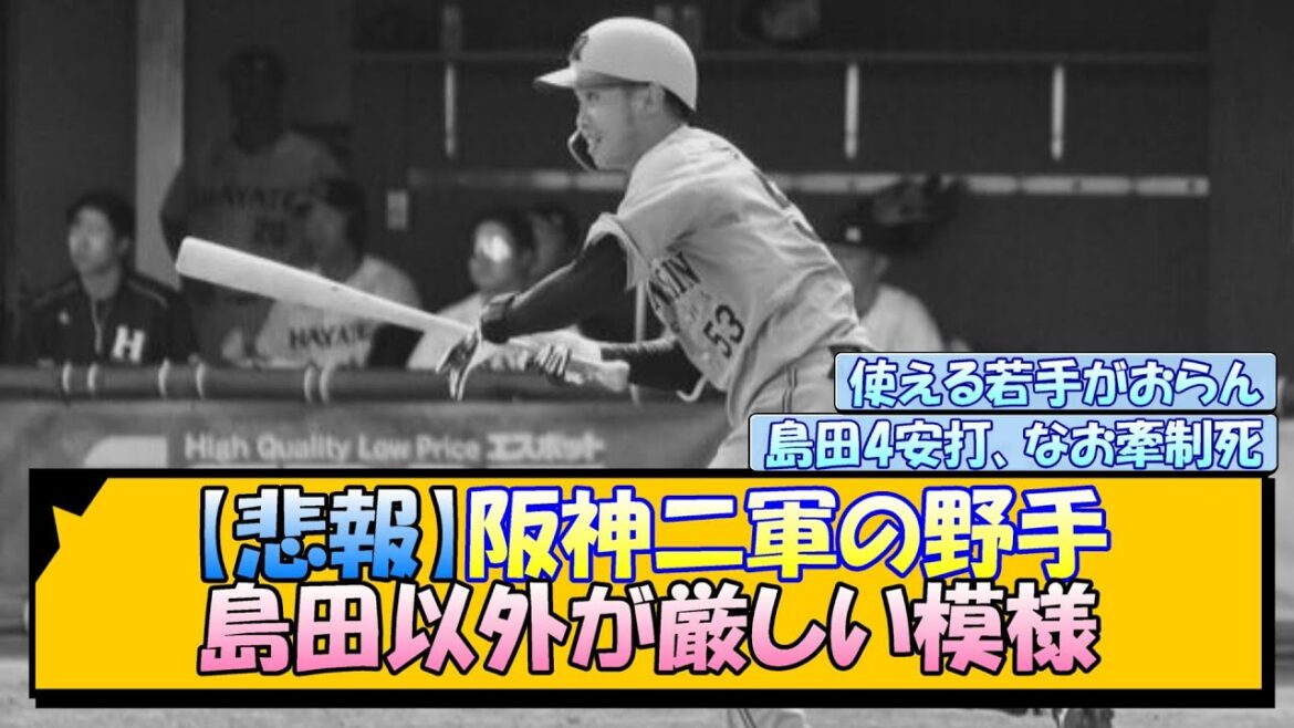 【悲報】阪神二軍の野手、島田以外が厳しい模様