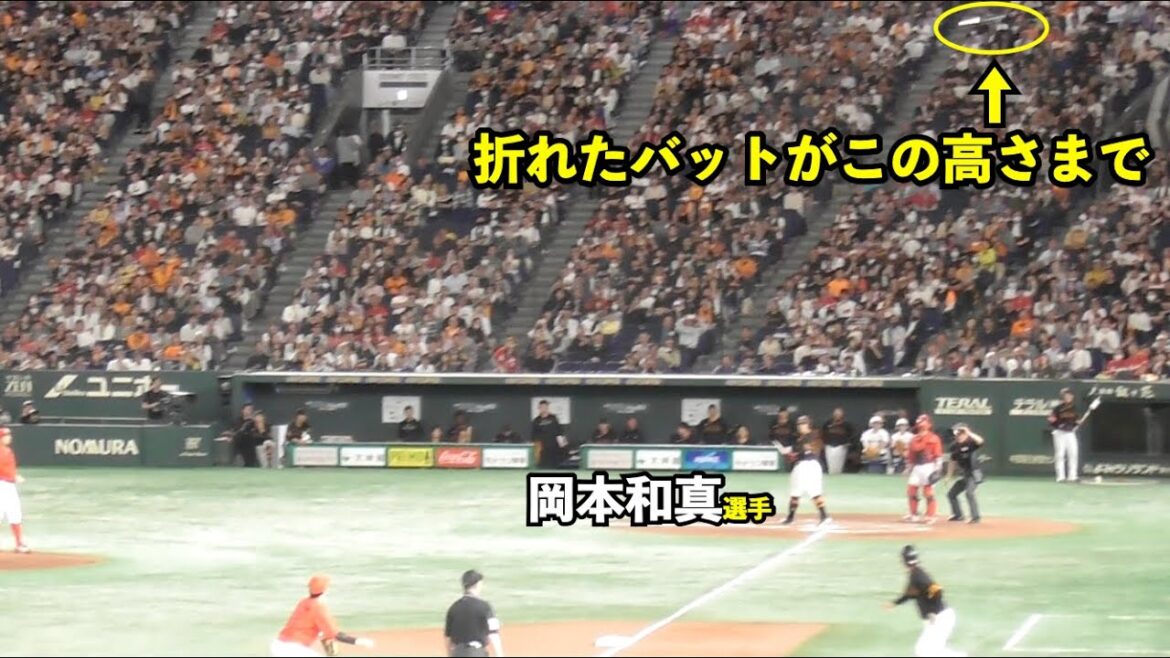 選手も驚愕！巨人岡本選手のスイングスピードが物語る！高く舞い上がった折れたバットの高さに場内どよめき！三塁コーチャー亀井コーチもビックリ！