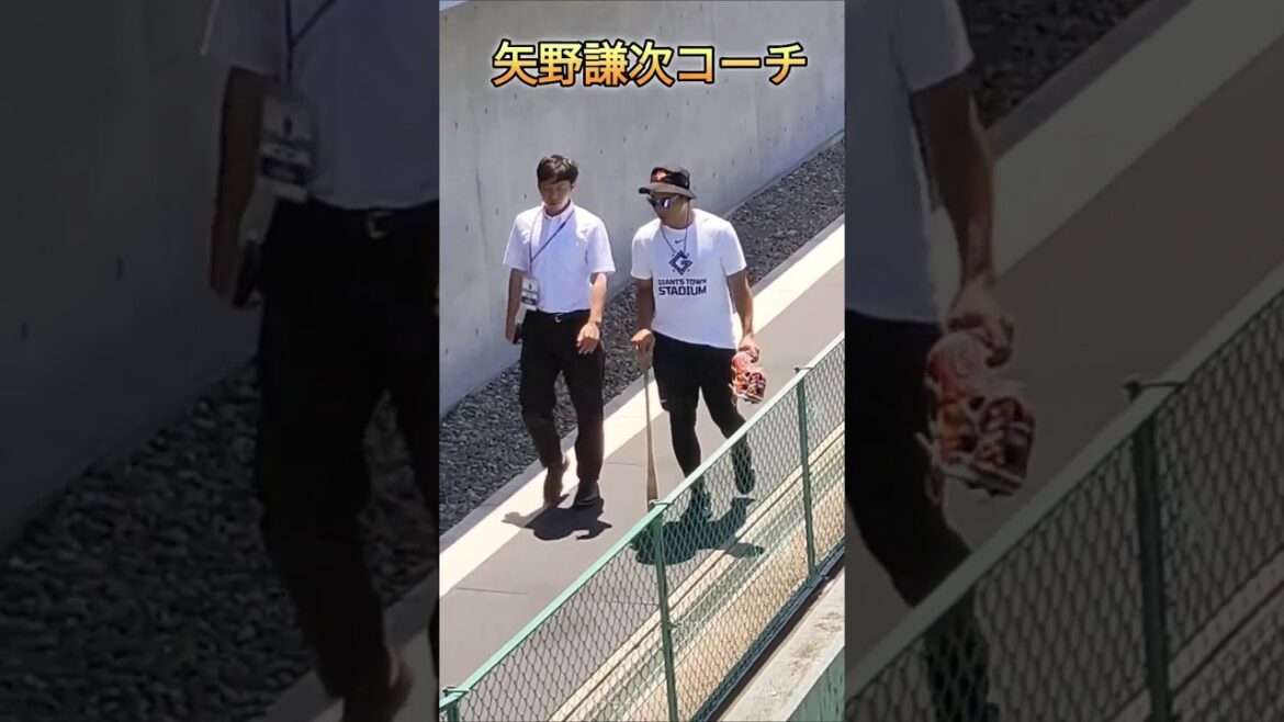 【GIANTS】 #矢野謙次 #長野久義 #湯浅大 #重信慎之介 室内練習場へ #shorts #巨人 #ジャイアンツ #プロ野球