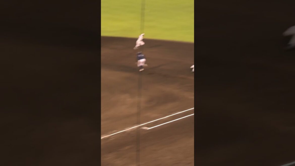 國學院大学　神里陸　この日5安打の活躍　東海大相模出身　2024.6.22