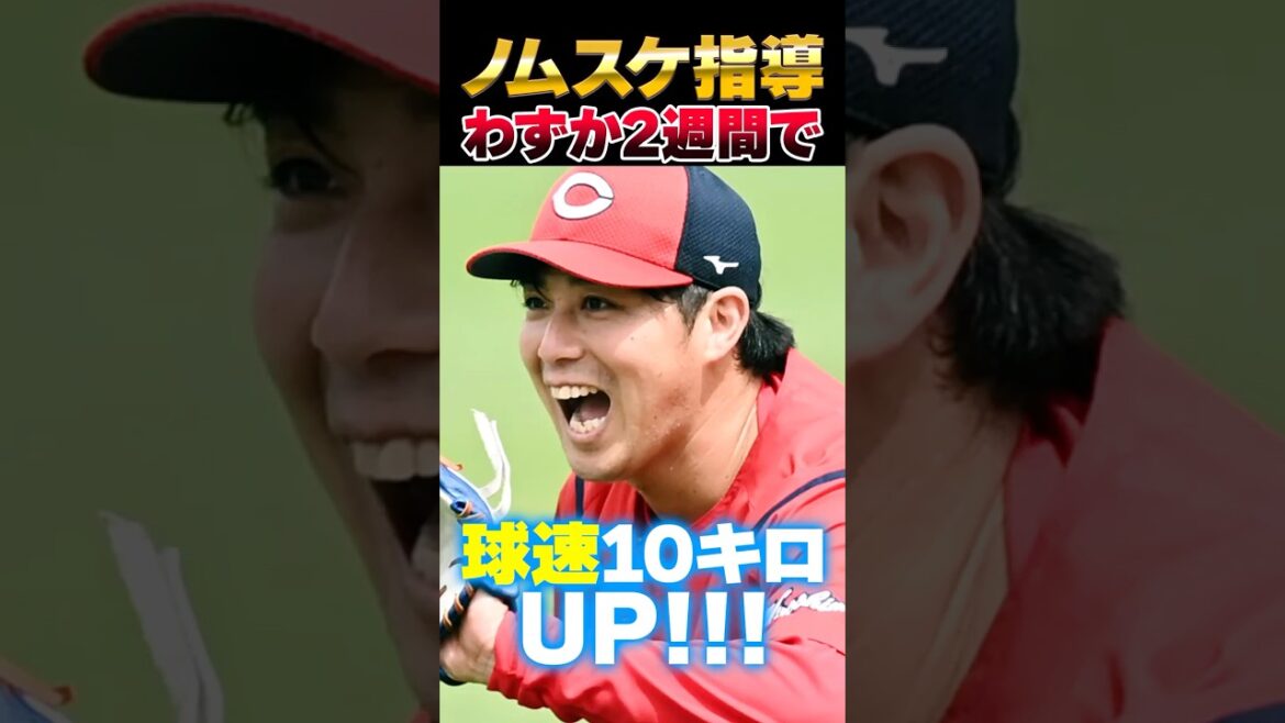 広島カープ野村祐輔3軍コーチが助言!2週間で辻大雅の球速10キロUP!有能投手コーチの才能あり #野村祐輔 #辻大雅 #カープ 広島カープ野村祐輔3軍コーチが助言!2週間で辻大雅の球速10キロUP!有能投手コーチの才能あり #野村祐輔 #辻大雅 #カープ