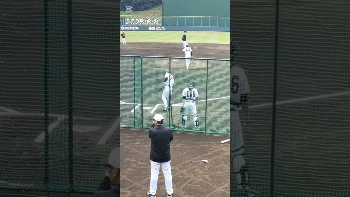 【GIANTS】 #大城元 選手044のバッティング練習 ピッチャーは #泉圭輔 63 #shorts #ジャイアンツ #巨人 #プロ野球