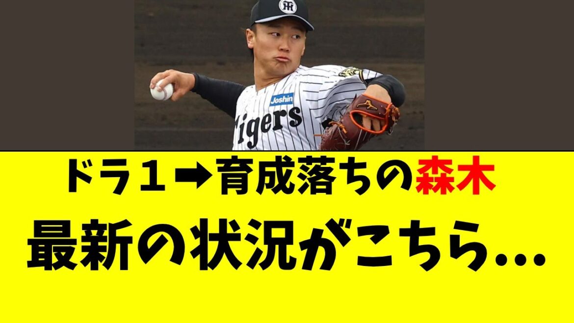 【阪神】ドラ1から育成落ち、森木大智の最新の状況がこちら 【阪神】ドラ1から育成落ち、森木大智の最新の状況がこちら