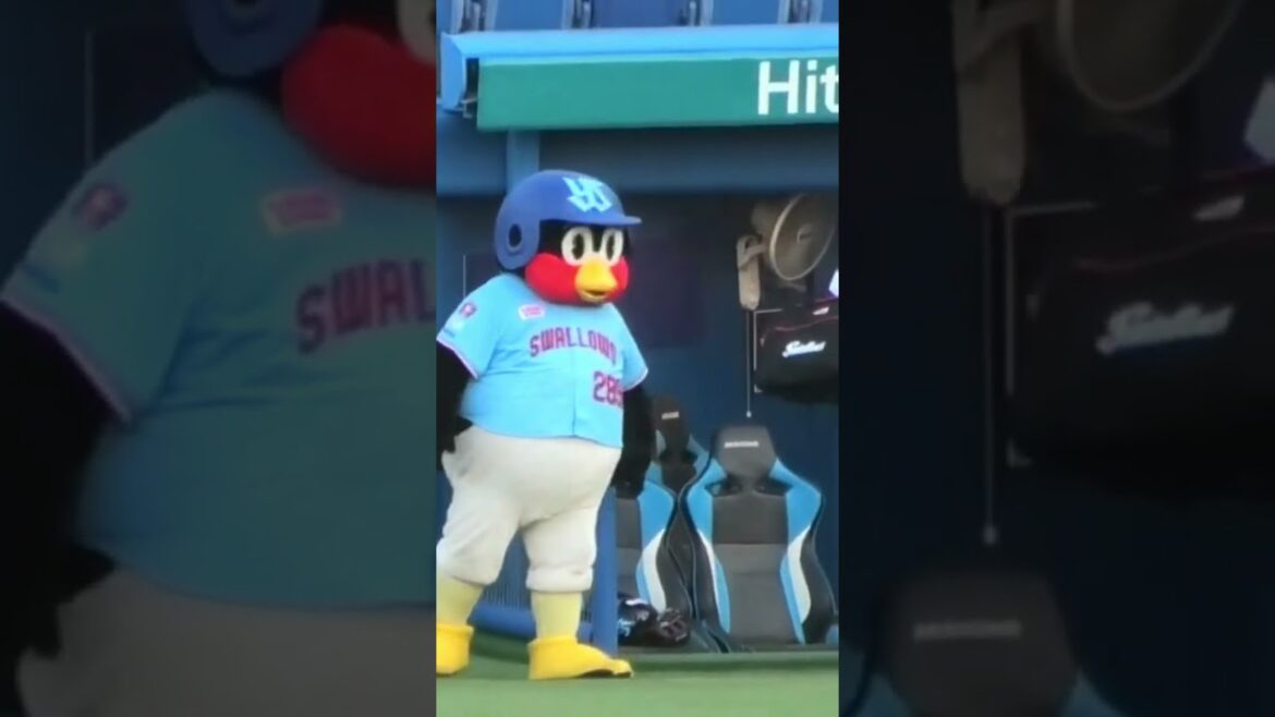 つば九郎、嶋コーチと戯れる #東京ヤクルトスワローズ #つば九郎 #shorts