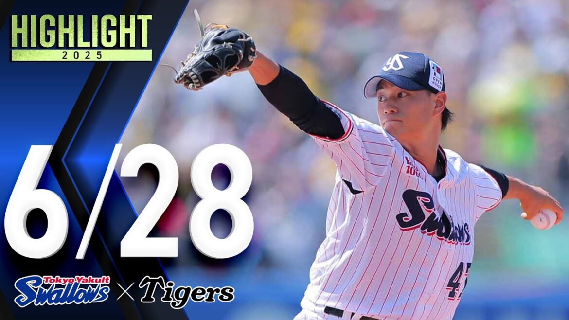 【スワローズ活躍シーン】高橋奎二投手、6回101球2失点8K　6月28日　東京ヤクルトスワローズvs阪神タイガース（神宮球場）