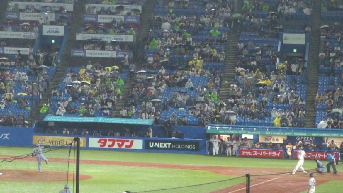 ヤクルト 古賀優大 デッドボール　ヤクルト vs 阪神　2025年6月27日(金) 神宮球場