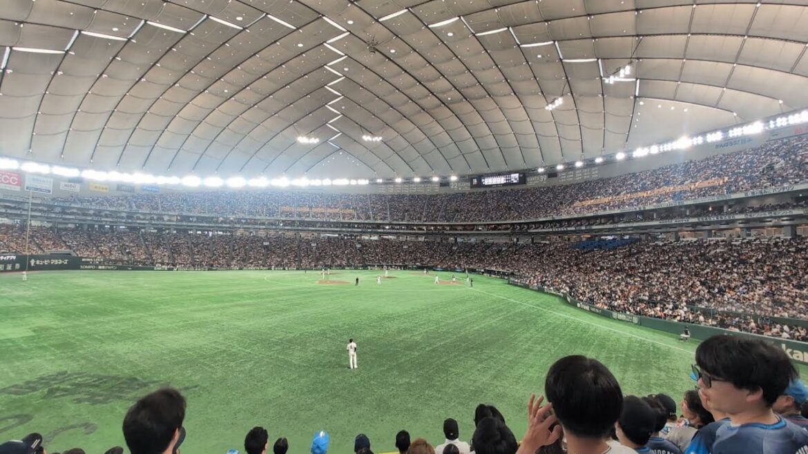 【交流戦2025】埼玉西武ライオンズチャンステーマ4 ビジター応援席より 読売-西武 2025/6.22