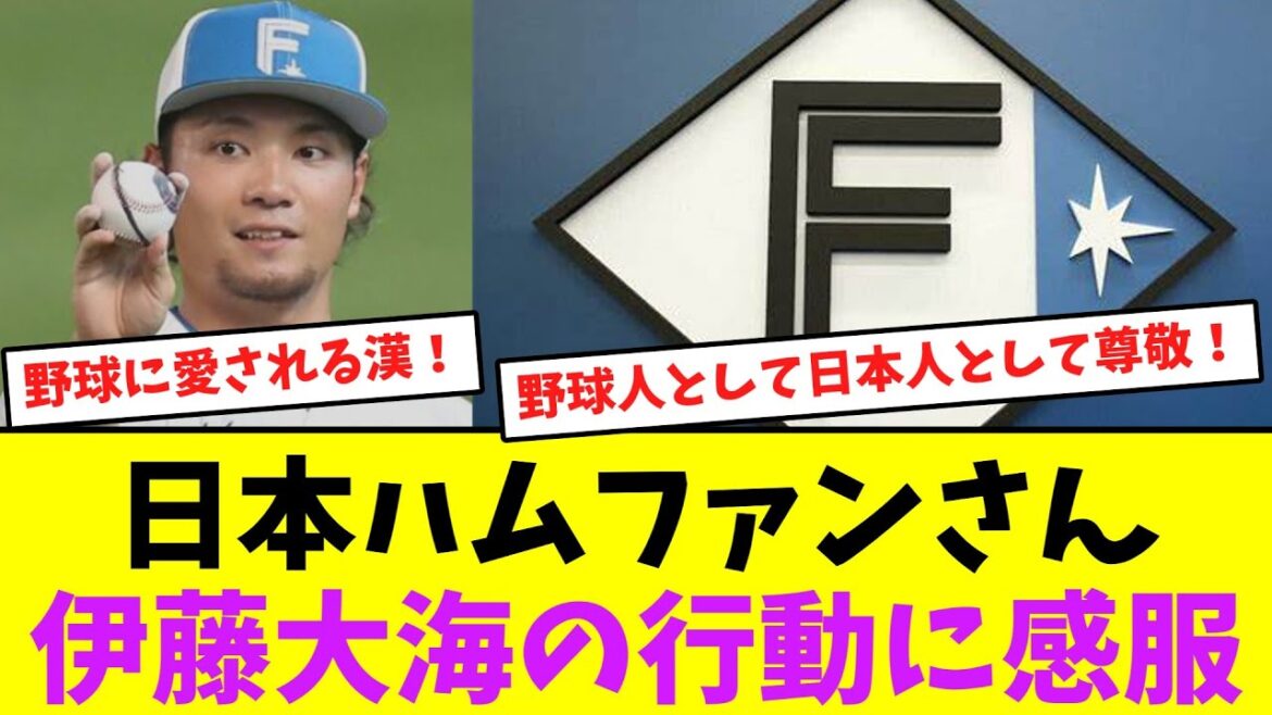 日本ハムファンさん、伊藤大海の行動に感服する！【なんJなんG】【2ch5ch】