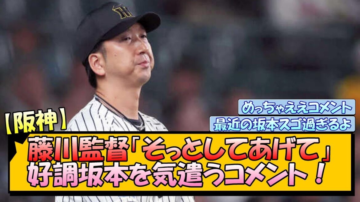 阪神・藤川監督「そっとしてあげて」好調坂本を気遣うコメント！