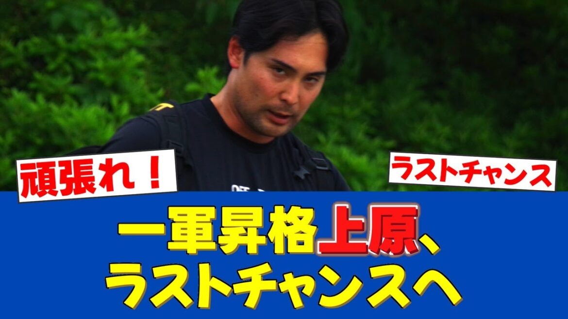 【背水の陣】上原健太1軍合流「チャンスを絶対にものにしたい」【日ハムファンの反応】【F速報】 【背水の陣】上原健太1軍合流「チャンスを絶対にものにしたい」【日ハムファンの反応】【F速報】