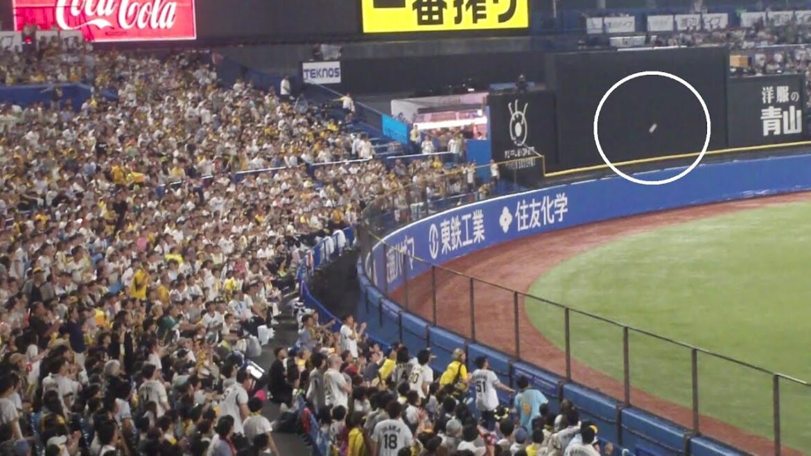 ヤクルト 並木秀尊 ホームラン 第2号　ヤクルト vs 阪神　2025年6月27日(金) 神宮球場