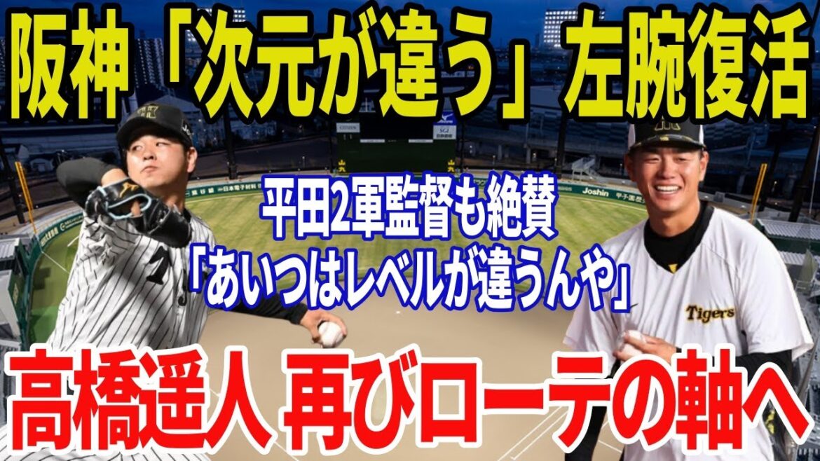 阪神・高橋遥人がついに実戦復帰！復活ロードと今後のシナリオ
