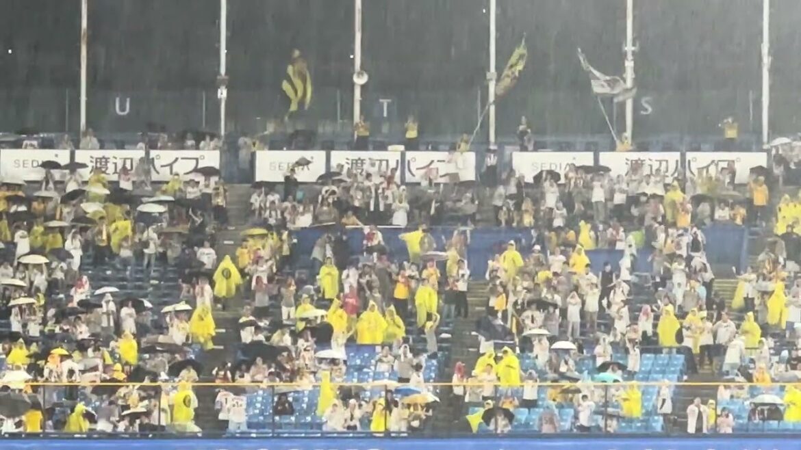 雨で中断中でも応援してる阪神ファンが素晴らしい! 雨で中断中でも応援してる阪神ファンが素晴らしい!