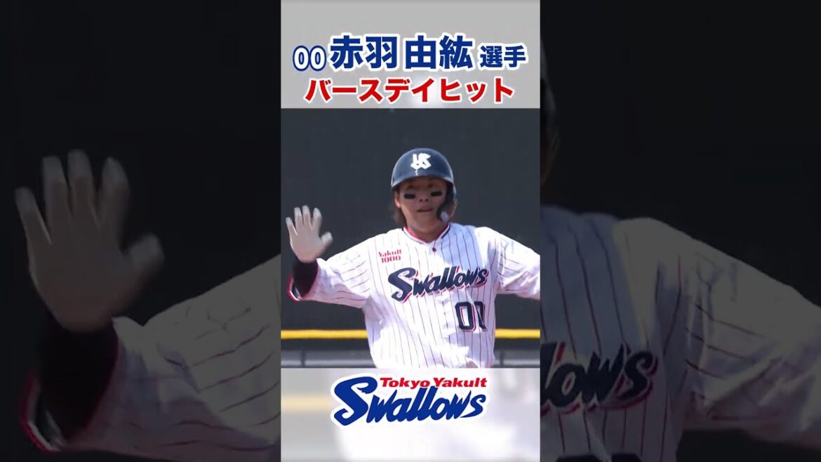 赤羽由紘選手 バースデイヒット #swallows #赤羽由紘  #shorts