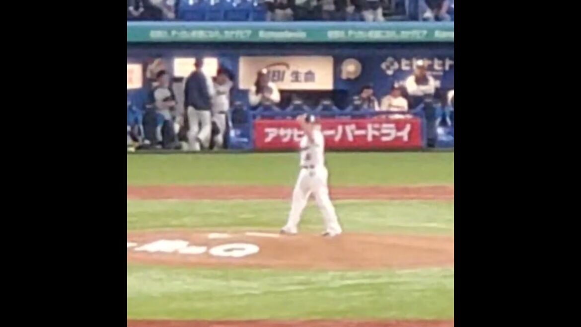 20250419　山野太一　投球練習　東京ﾔｸﾙﾄｽﾜﾛｰｽﾞ先発投手　#shorts@神宮球場･ﾚﾌﾄ外野 明治神宮野球場