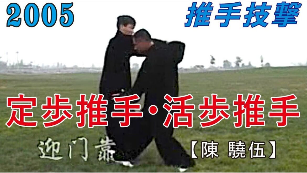 2005年【陳 驍伍】定歩双推手技法・活歩双推手技法【技法名有り】(この動画は2005年に撮影されたものです) #太極拳 2005年【陳 驍伍】定歩双推手技法・活歩双推手技法【技法名有り】(この動画は2005年に撮影されたものです) #太極拳
