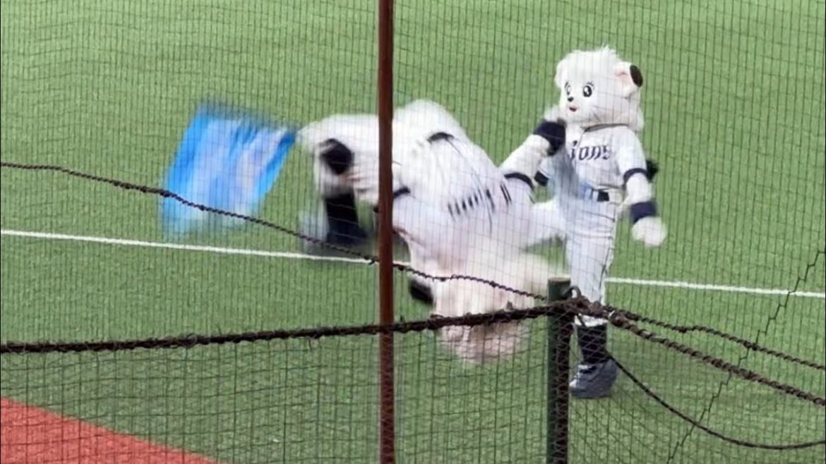 【レオ&ライナ】bluelegends不在のため二人で頑張る『吠えろライオンズ』【西武2-1楽天】2025/6/24 ファーム 【レオ&ライナ】bluelegends不在のため二人で頑張る『吠えろライオンズ』【西武2-1楽天】2025/6/24 ファーム