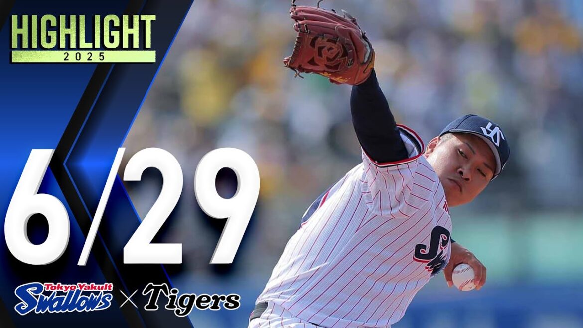 【スワローズ活躍シーン】ルーキー荘司宏太投手、1回無失点＆赤羽由紘選手、25歳の誕生日にヒット＆ファインプレー　6月29日　東京ヤクルトスワローズvs阪神タイガース（神宮球場）