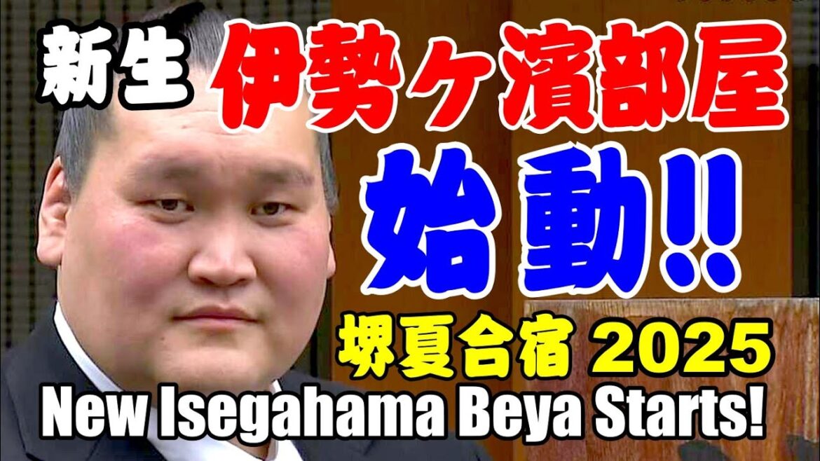 すごい顔ぶれ!新伊勢ヶ濱部屋: 関取衆と「怪物研修生」 #大相撲 #伊勢ヶ濱部屋 #sumo すごい顔ぶれ!新伊勢ヶ濱部屋: 関取衆と「怪物研修生」 #大相撲 #伊勢ヶ濱部屋 #sumo
