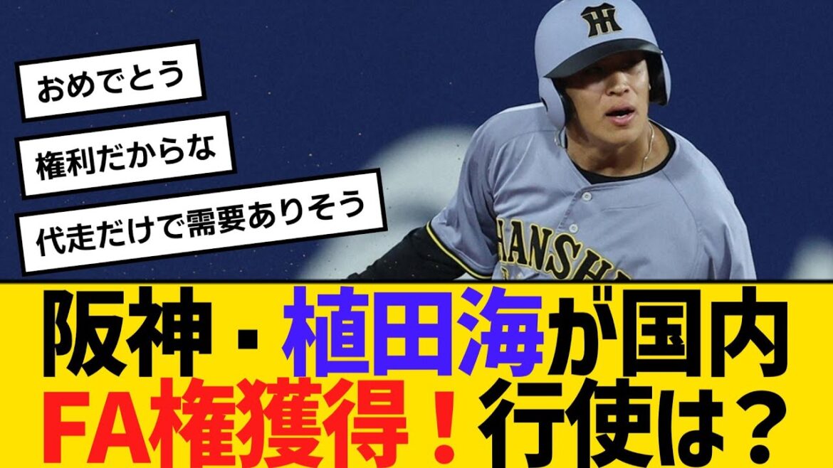 阪神・植田海が国内FA権獲得！行使については？　【ネットの声】【野球】