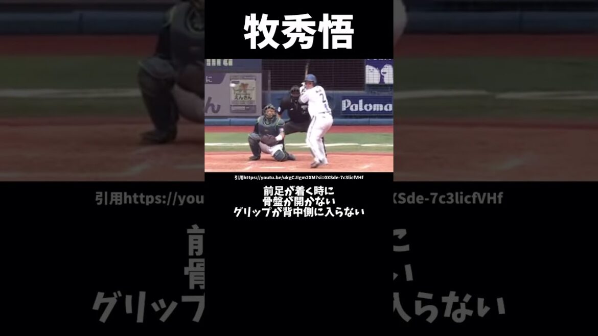 牧秀悟のバッティングフォーム解説#プロ野球#DeNAベイスターズ#牧秀悟#バッティングフォーム