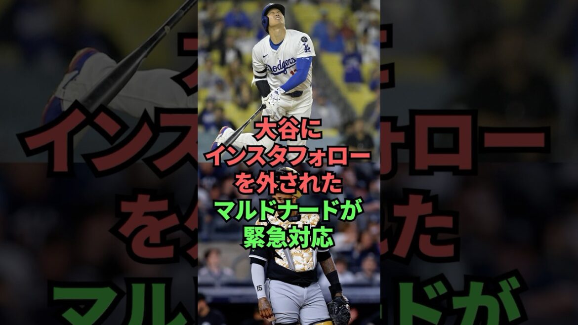 大谷にインスタフォローを外されたマルドナードが緊急対応