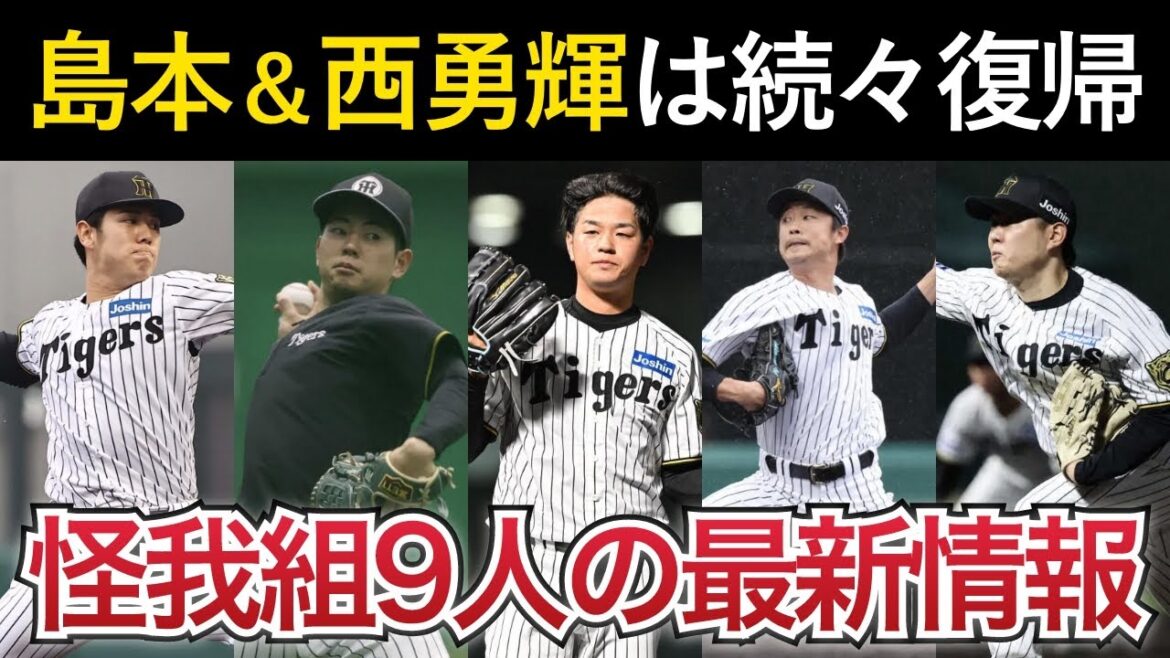【続々と実戦復帰！】投手陣の怪我組9選手の最新情報！【阪神タイガース】