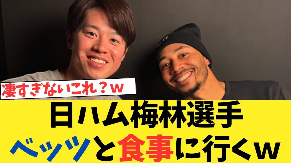 日ハム梅林、ベッツと食事に合同自主トレwwwwwwww【2chスレ】【5chスレ】【なんj反応】 日ハム梅林、ベッツと食事に合同自主トレwwwwwwww【2chスレ】【5chスレ】【なんj反応】
