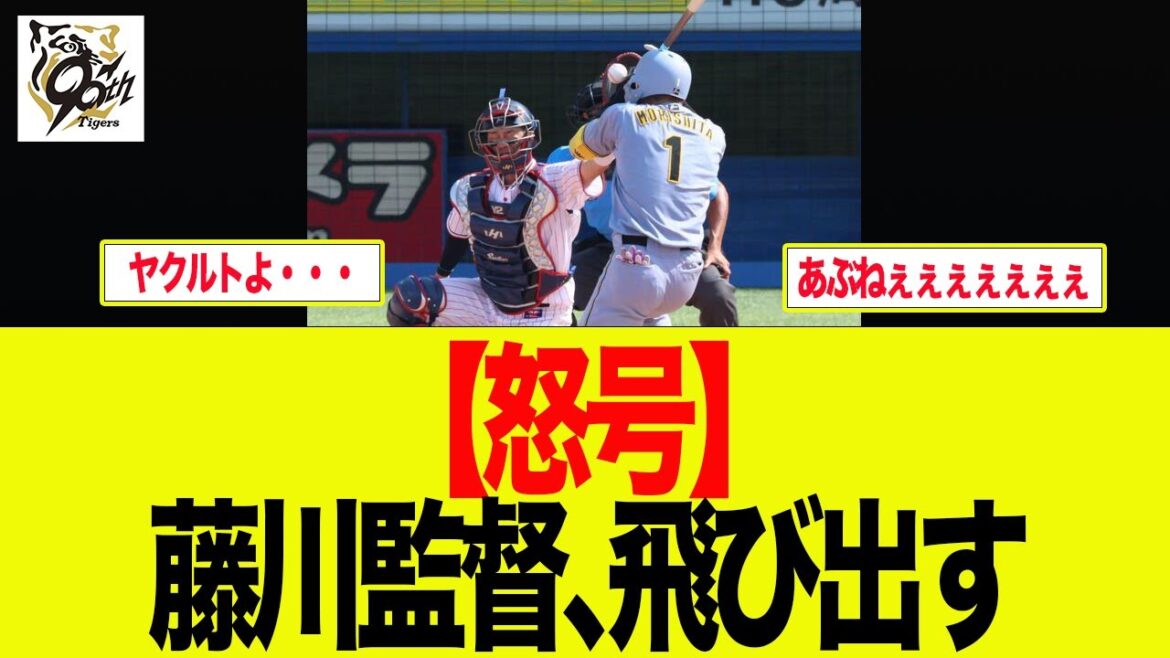 【阪神】【怒号】藤川監督、飛び出す 藤川監督一問一答 阪神ファン反応 【阪神】【怒号】藤川監督、飛び出す 藤川監督一問一答 阪神ファン反応