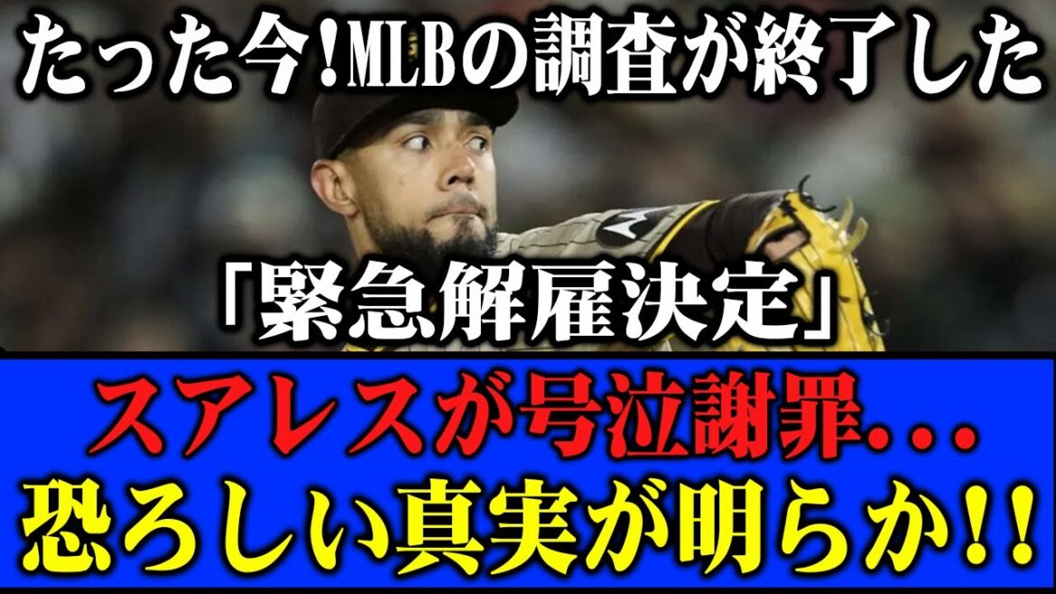 【MLB報道】控訴は却下 スアレスとシルト監督が涙…ファンに向けた誠意ある謝罪 【MLB報道】控訴は却下 スアレスとシルト監督が涙…ファンに向けた誠意ある謝罪
