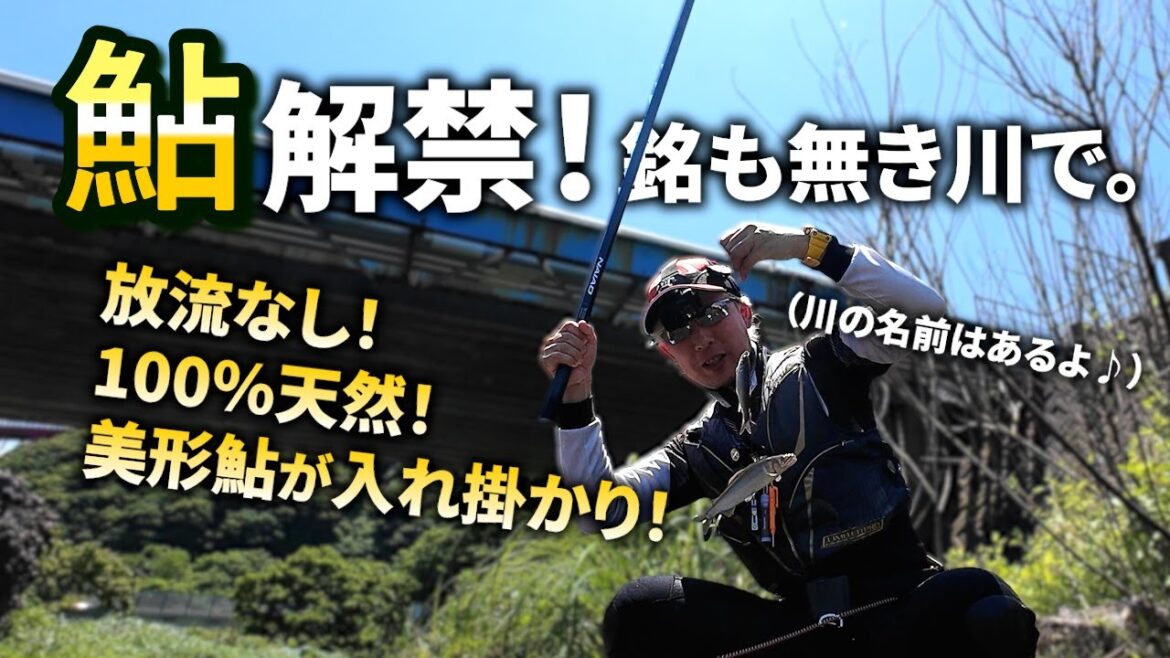 鮎釣り2025解禁!県内最速!?で美鮎の入れ掛かりを堪能してきました 鮎釣り2025解禁!県内最速!?で美鮎の入れ掛かりを堪能してきました