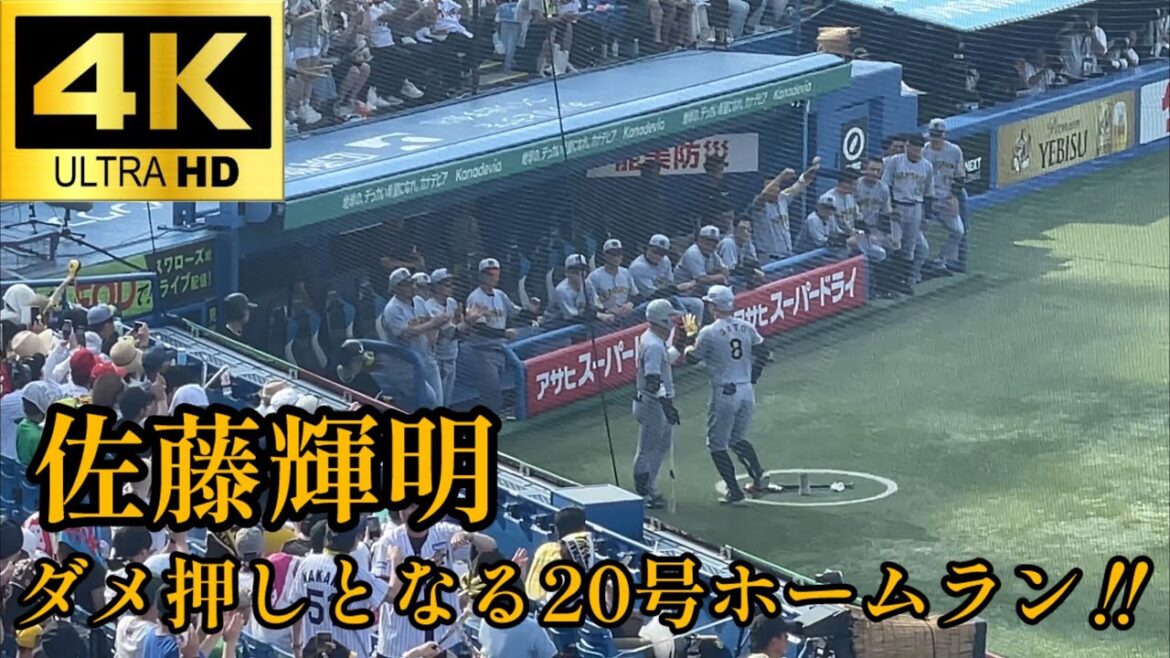 【止まるんじゃねぇぞ…】今年のサトテルは違う 佐藤輝明ダメ押しとなるライトスタンドへの20号ソロホームラン‼︎ 阪神タイガース 東京ヤクルトスワローズ 2025.6/29