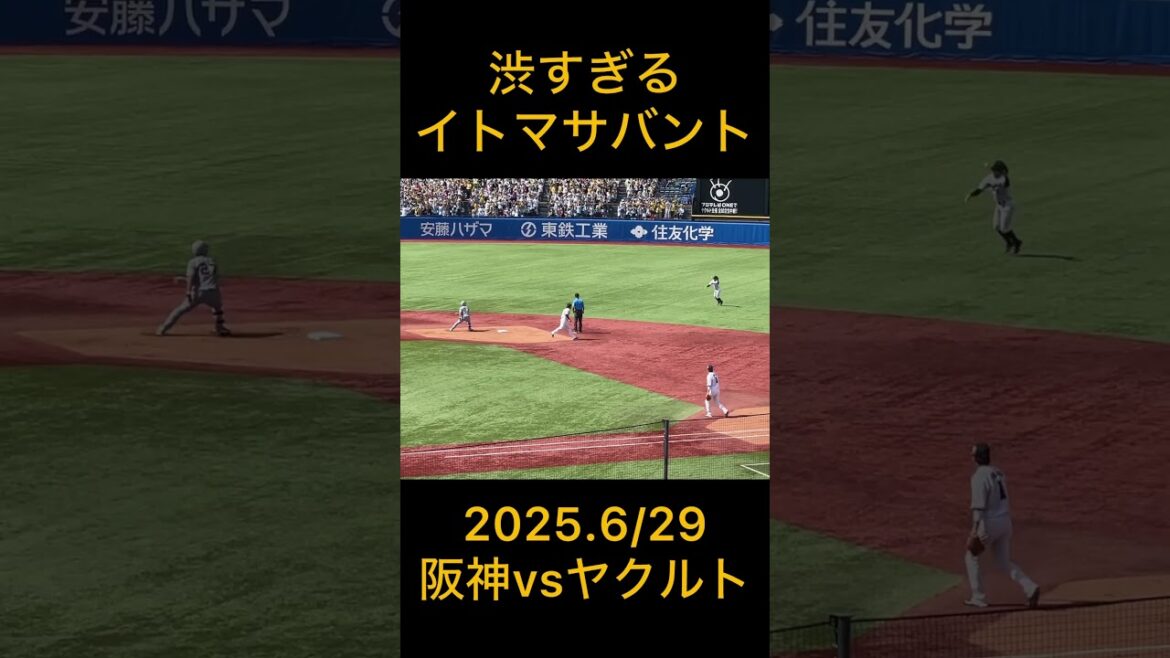 イトマサ自援護する #shorts #阪神タイガース #プロ野球