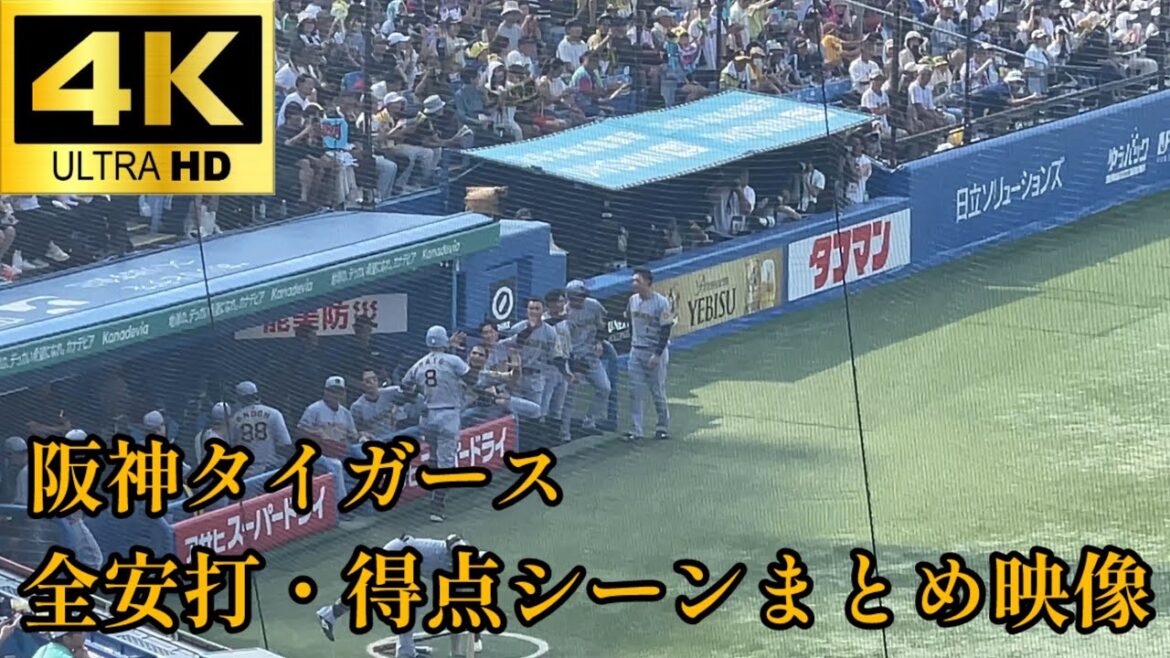 【阪神ファン用】8安打6得点の猛攻で勝利‼︎ 阪神タイガース 全安打➕得点シーンまとめ‼︎ 阪神タイガース 東京ヤクルトスワローズ 2025.6/29